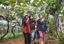 경쟁력 있는 농업인재 양성! 제12기 경기농업대학 교육생 모집