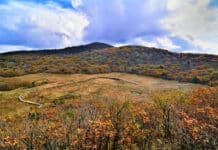 ‘생태계 보고’ 두타연·용늪서 정책현장 워크숍 열려