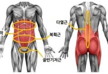 코어 운동 효과