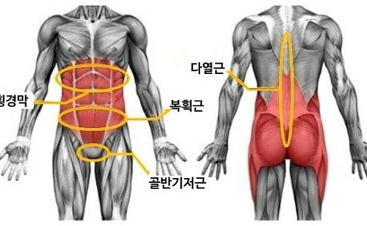 코어 운동 효과